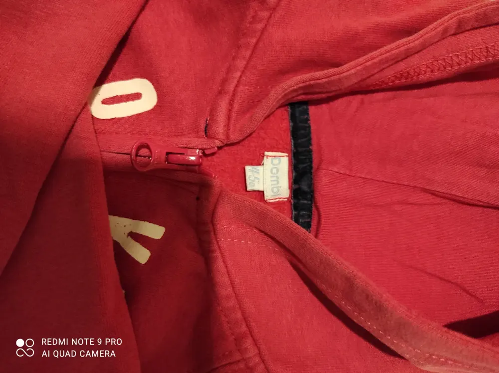 Sudadera con capucha Dombi, foto 3