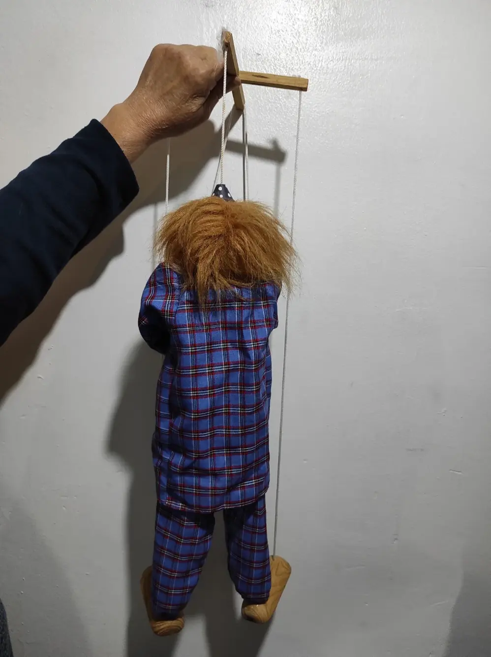 Payaso titere, foto 5