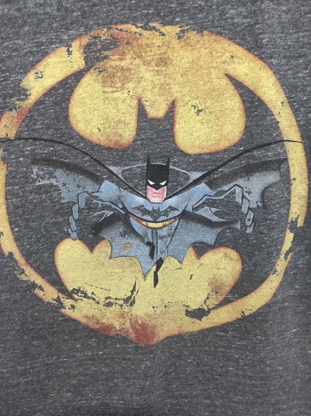 Camiseta manga corta Batman cedar wood state talla M, foto 2