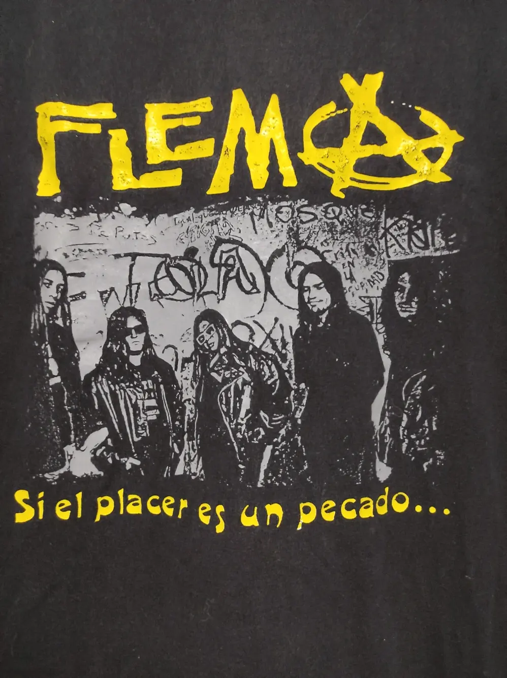 Camiseta banda Rock punk Argentino Flema talla L Unity, foto 3
