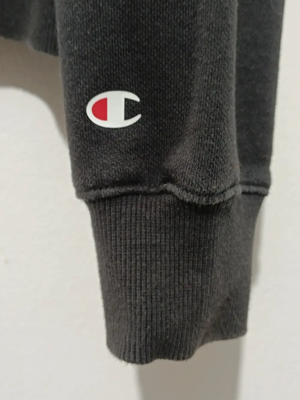 Sudadera con capucha Champion talla L, foto 2