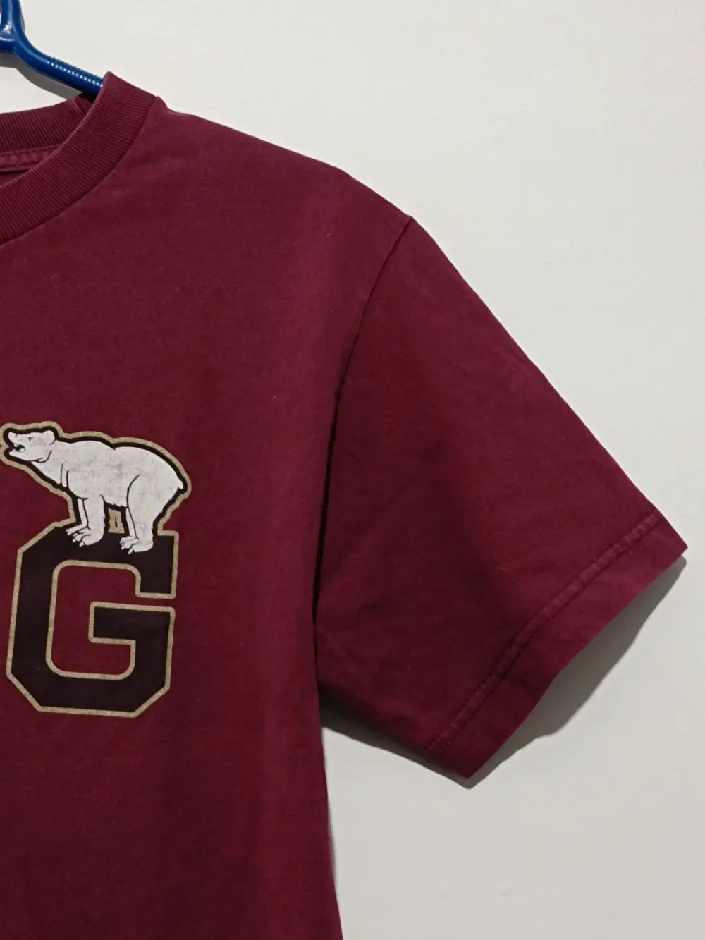 Camiseta manga corta Grizzly talla S, foto 3
