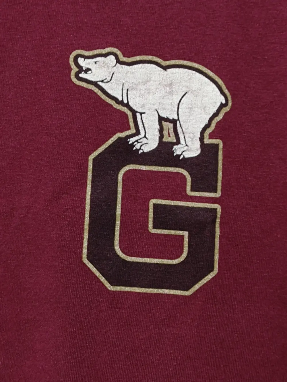 Camiseta manga corta Grizzly talla S, foto 5