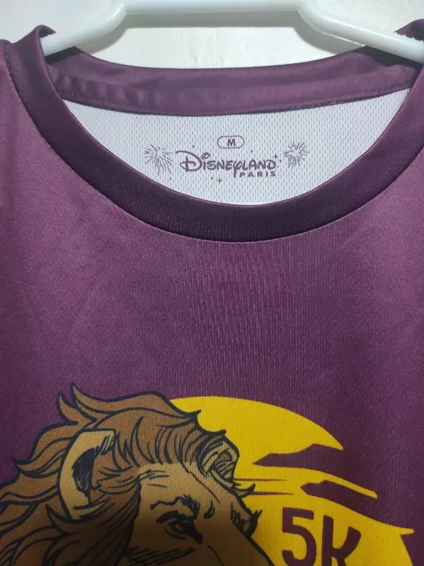 Camiseta manga corta Disenyland Paris talla M, foto 4