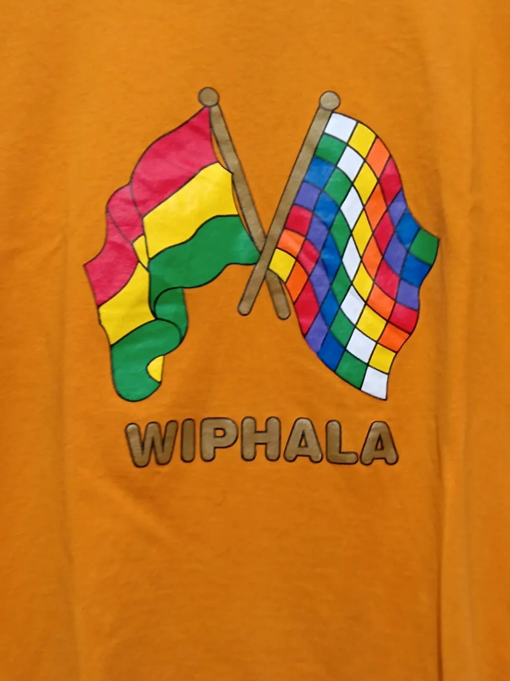 Camiseta vintage Wiphala sirve para S/M ver medidas, foto 2