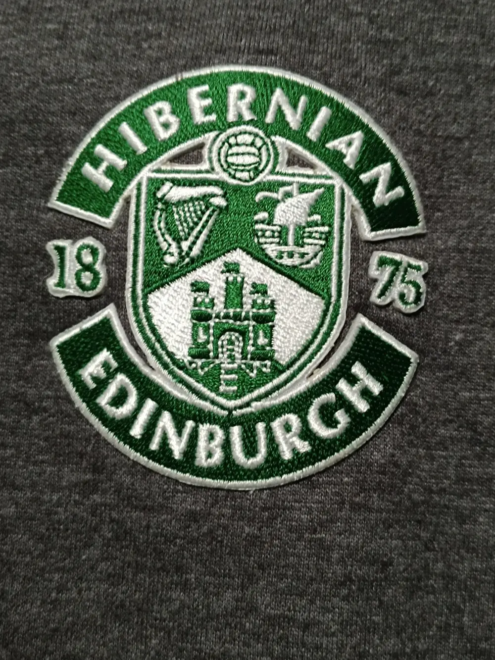 Sudadera con capucha Hibernian Edinburgh fc talla S Awdis all wedo is, foto 4