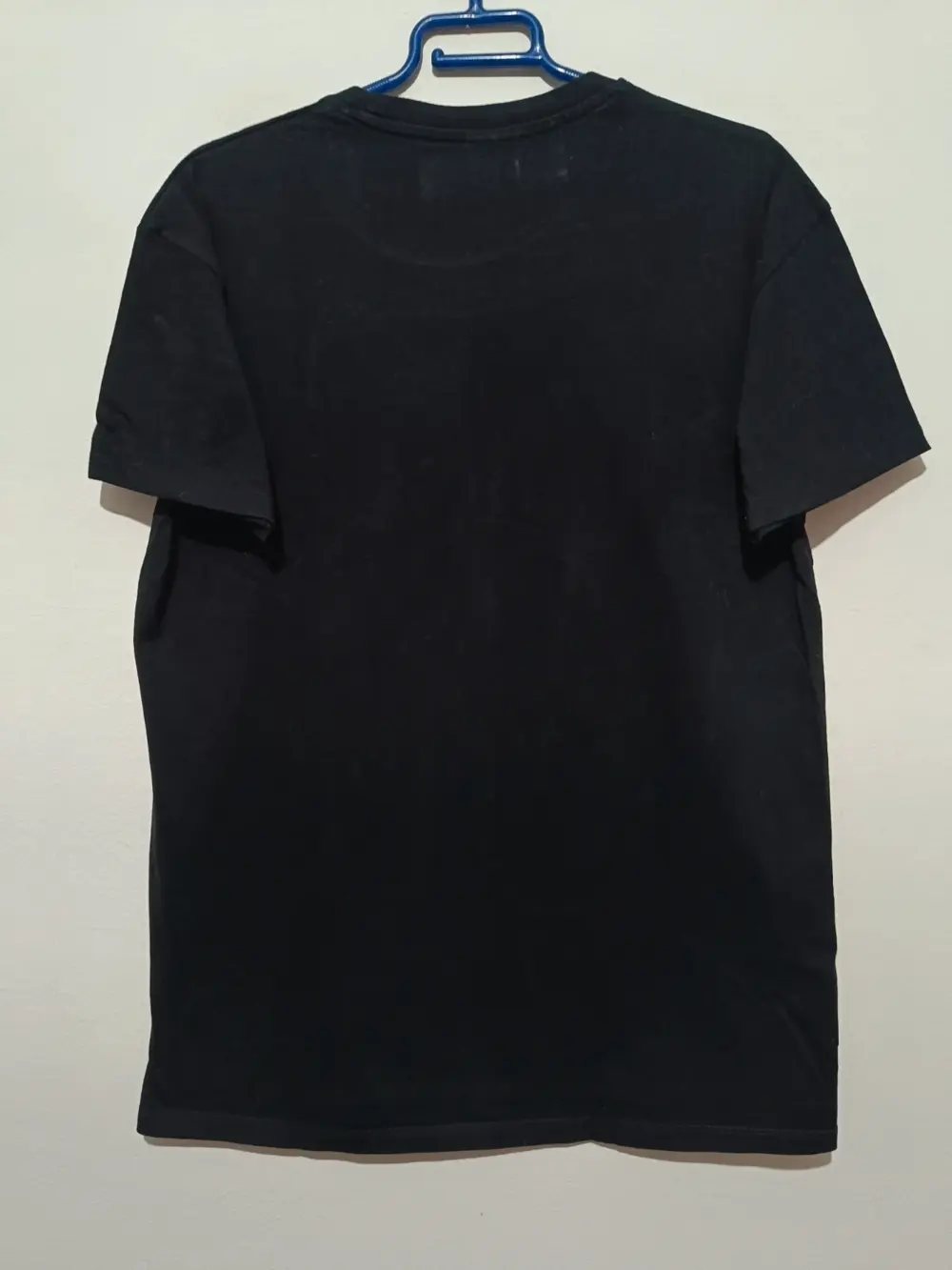 Camiseta manga corta Paisaje tanjiro talla M Pampling unisex, foto 3