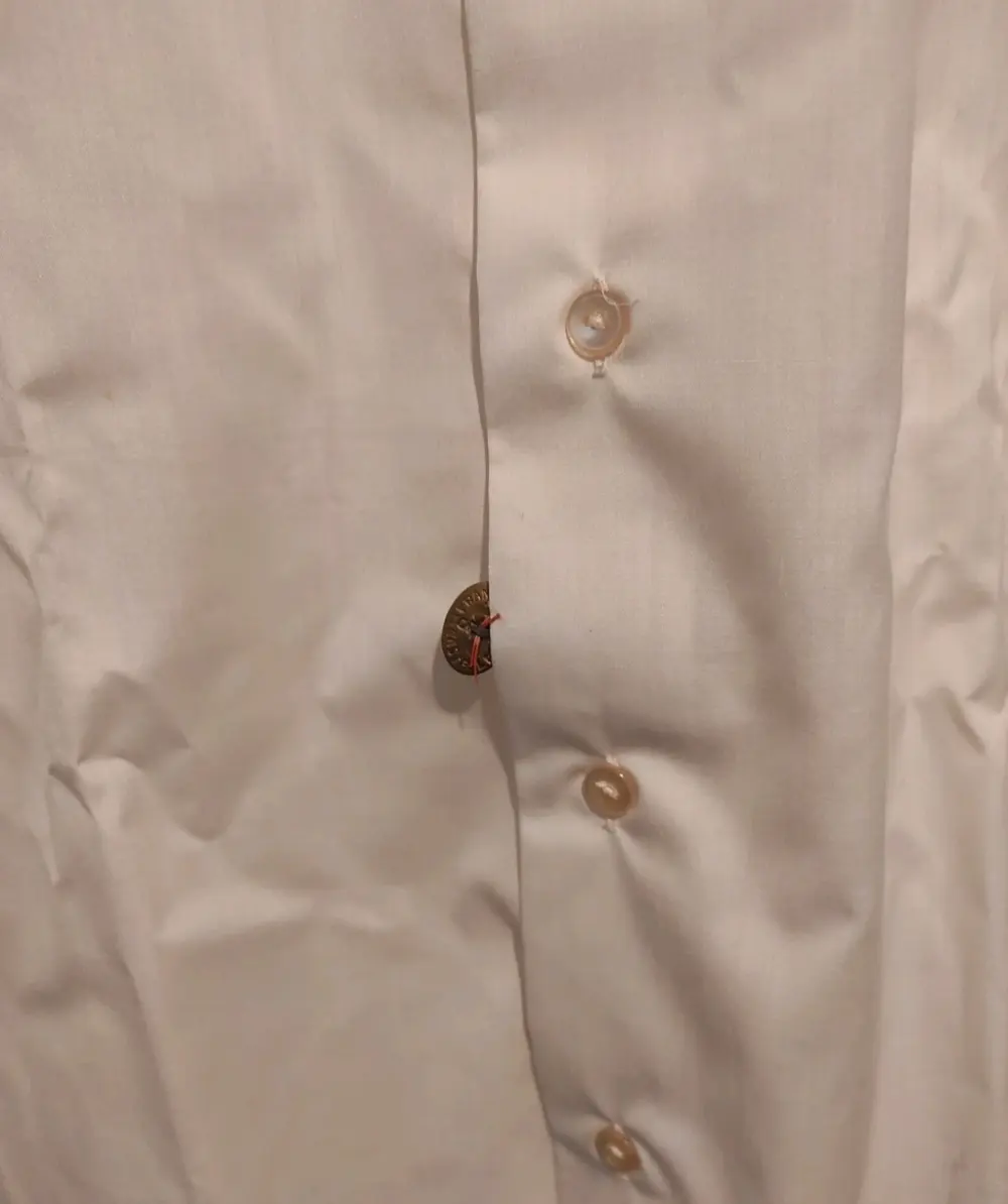 Camisa lisa Electa.original Terlenka, talla L*, foto 2
