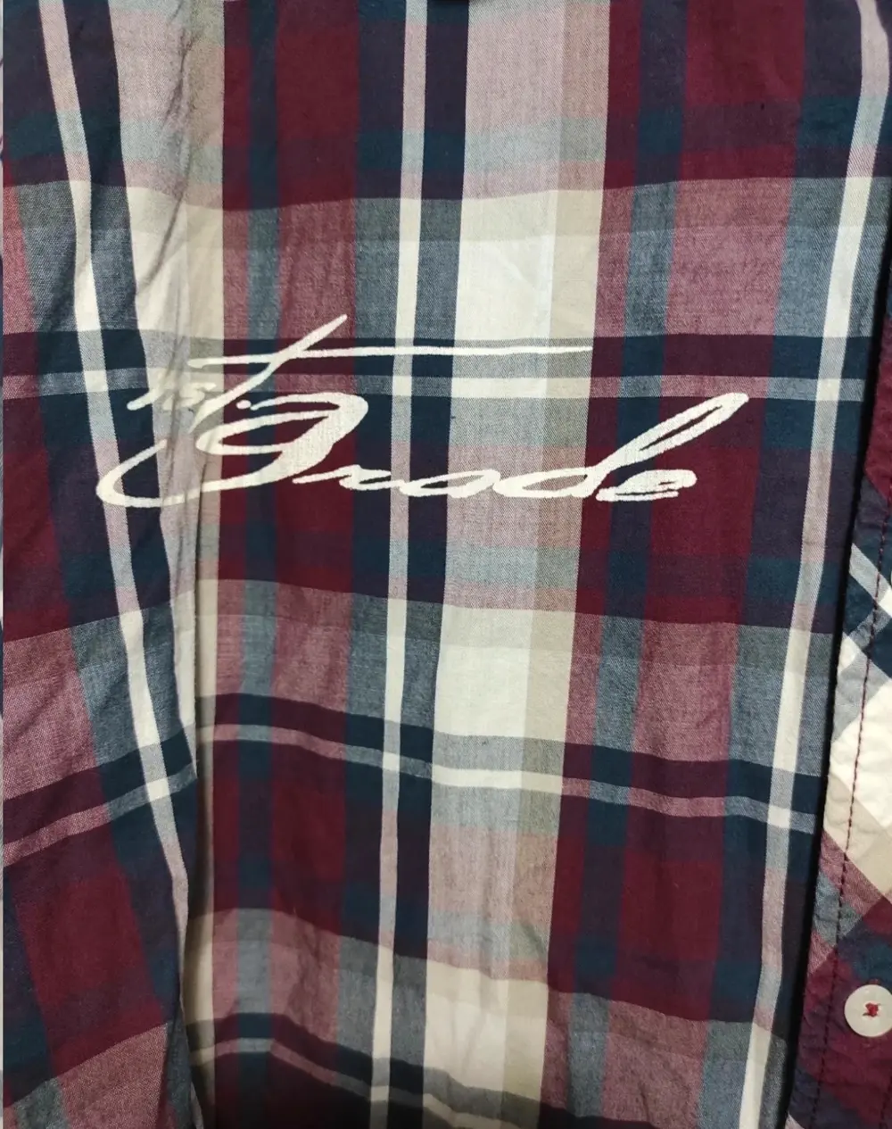 Camisa manga larga Eagle denim ver medidas*, foto 3