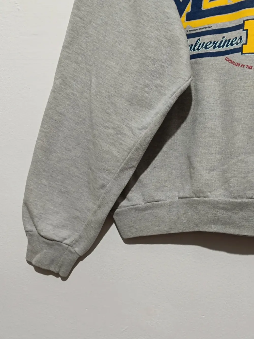 Sudadera vintage Míchigan Wolverines NCAA talla M ver medidas, foto 2