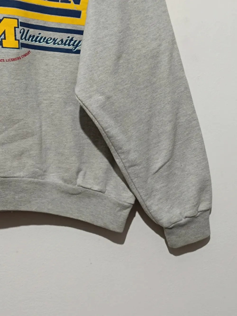 Sudadera vintage Míchigan Wolverines NCAA talla M ver medidas, foto 3