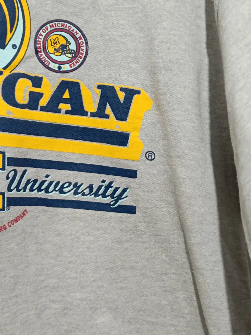 Sudadera vintage Míchigan Wolverines NCAA talla M ver medidas, foto 5