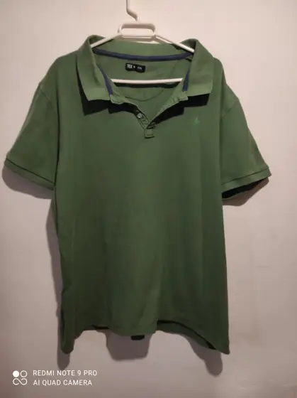 Camisa lisa Tex