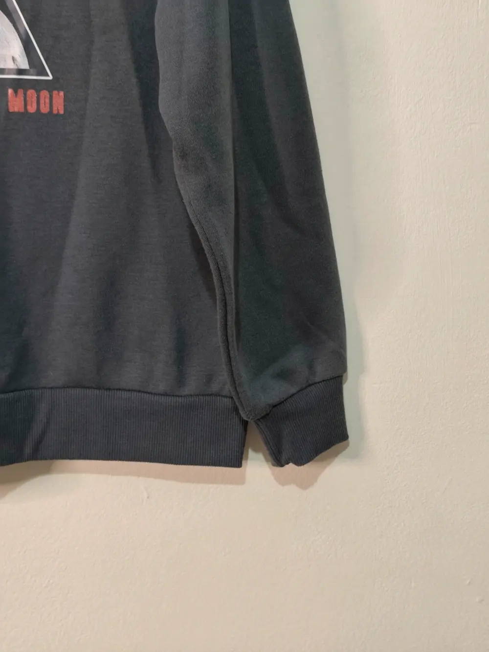 Sudadera Pink Floyd "The Dark Side of the Moon" - Talla M, foto 4